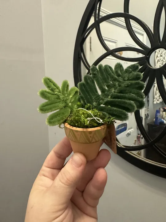 A tiny two-tone fern in a painted terracotta pot, held in one hand